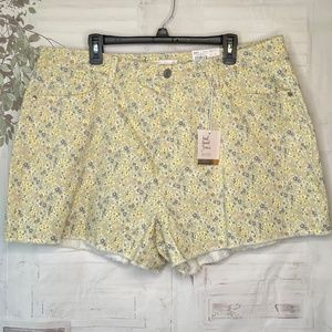 LC Lauren Conrad Green Super High Rise Cutoff Slim Hip Thighs Shorts Plus 20W